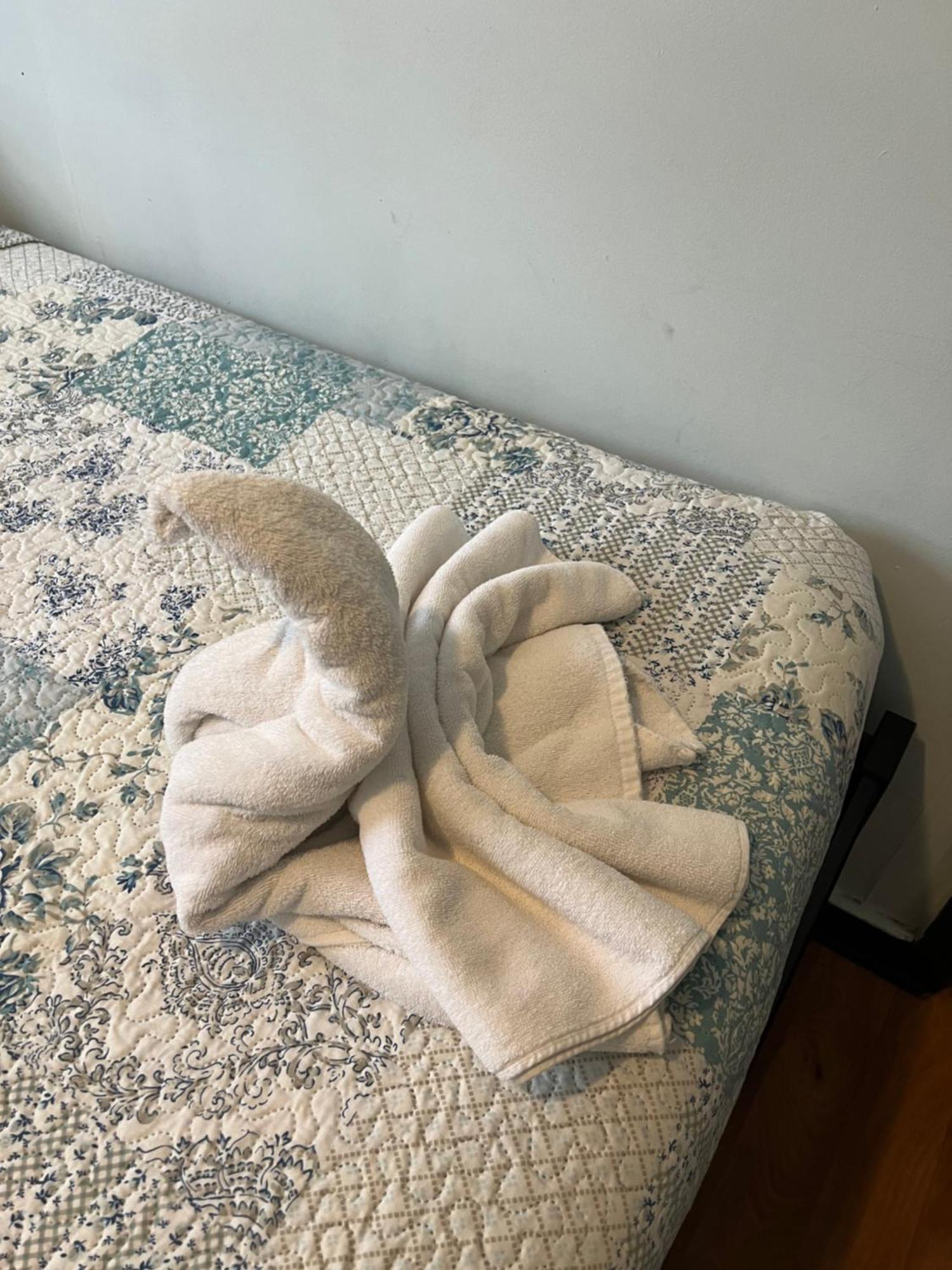 Hostal Victoria Punta Arenas Eksteriør bilde